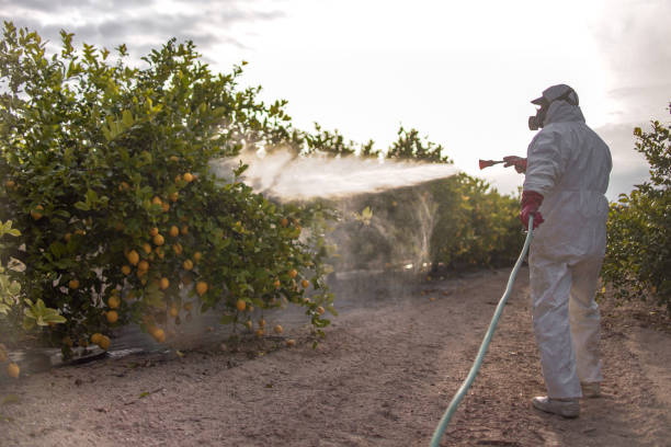 Best Wasp Removal Services  in Geneva, NY